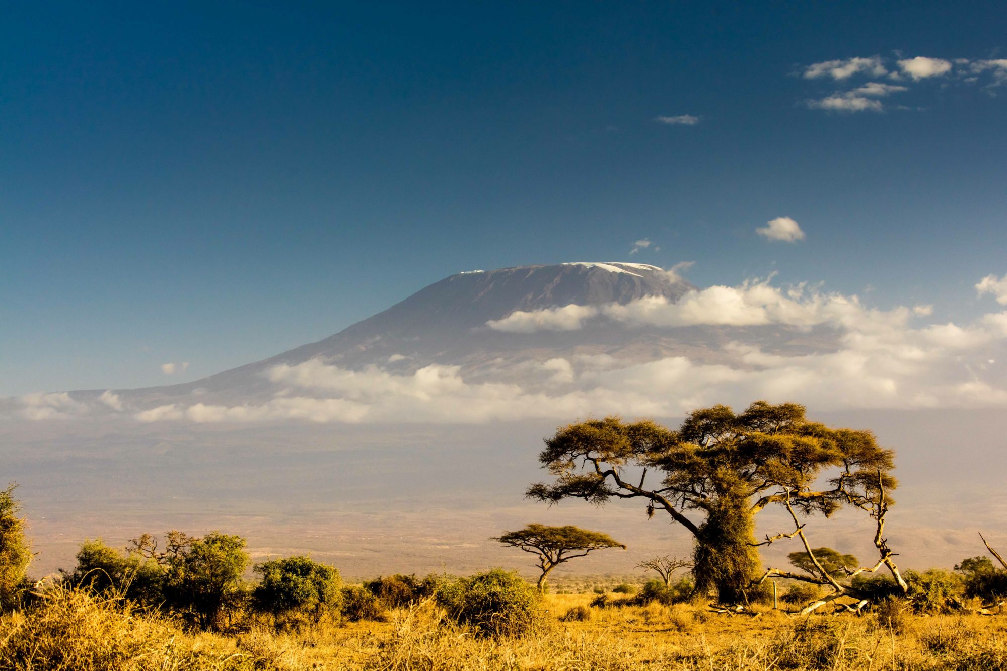 View of Mt Kilimanjaro in the afternoon