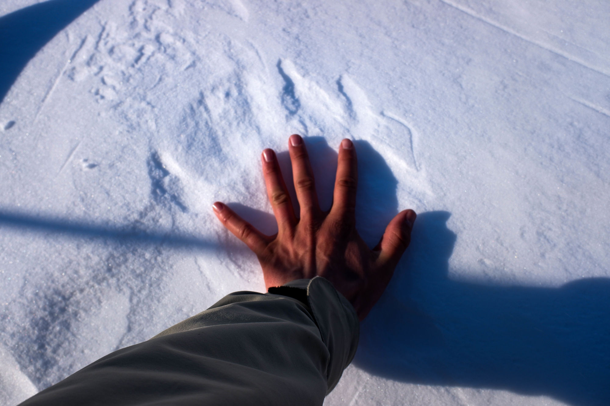 Svalbard på langs-2021@MortenRostille (28)