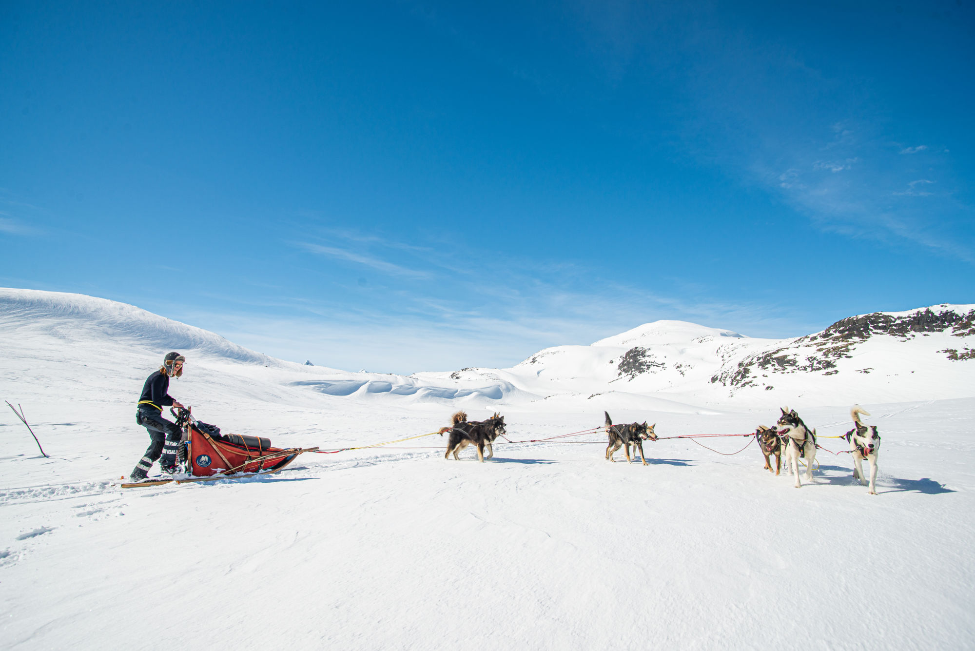 Hundesledetur i Jotunheimens Bakgård@BeitoHusky(20)