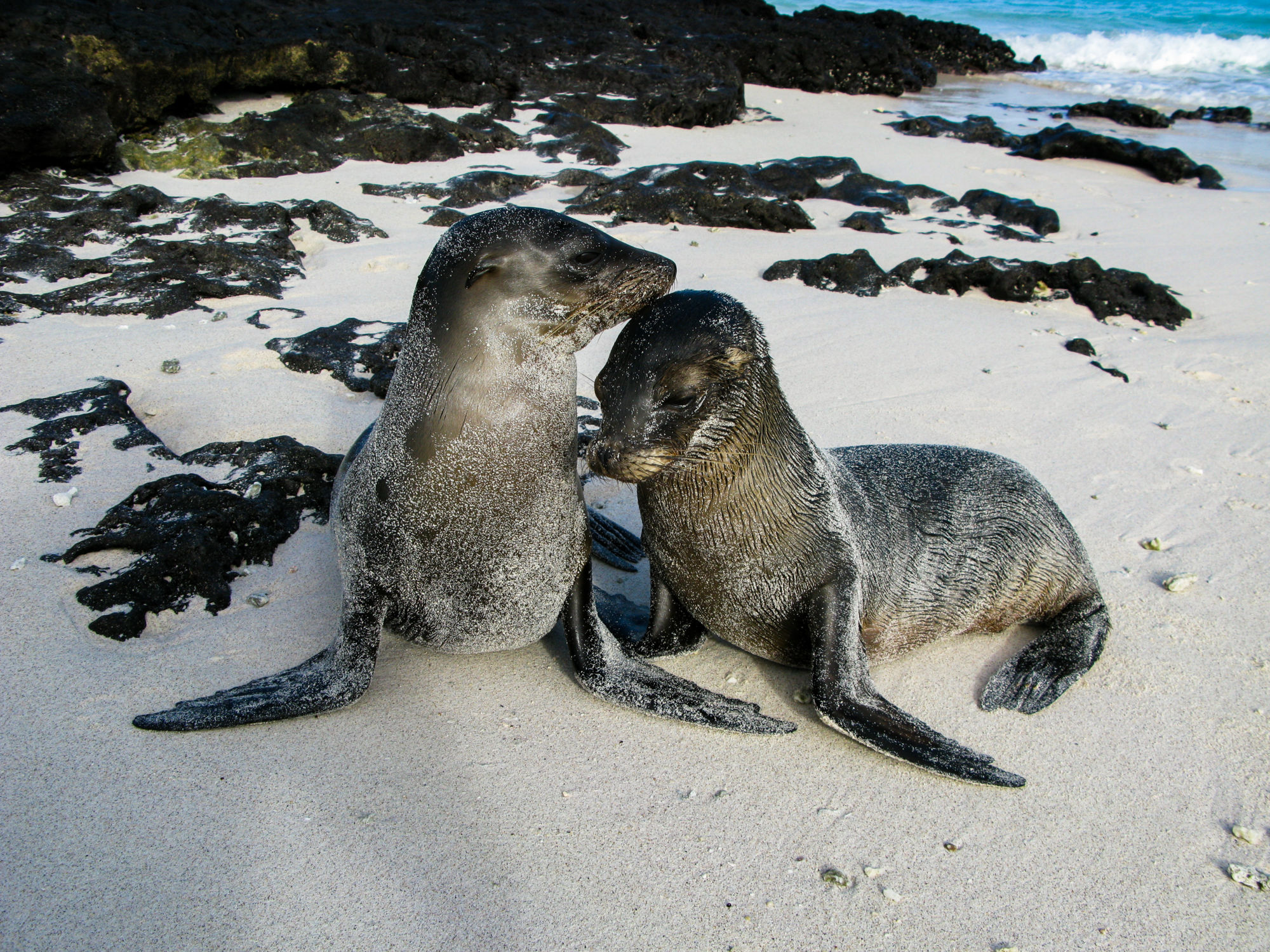 EcuadorGalapagos-2008@MagnusHendis (54)