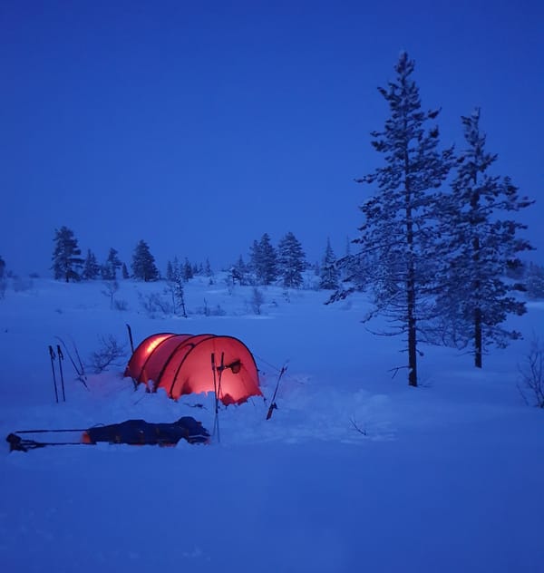 Et opplyst rødt telt satt opp i et snødekt landskap i skumringen, omgitt av snødekte furutrær.