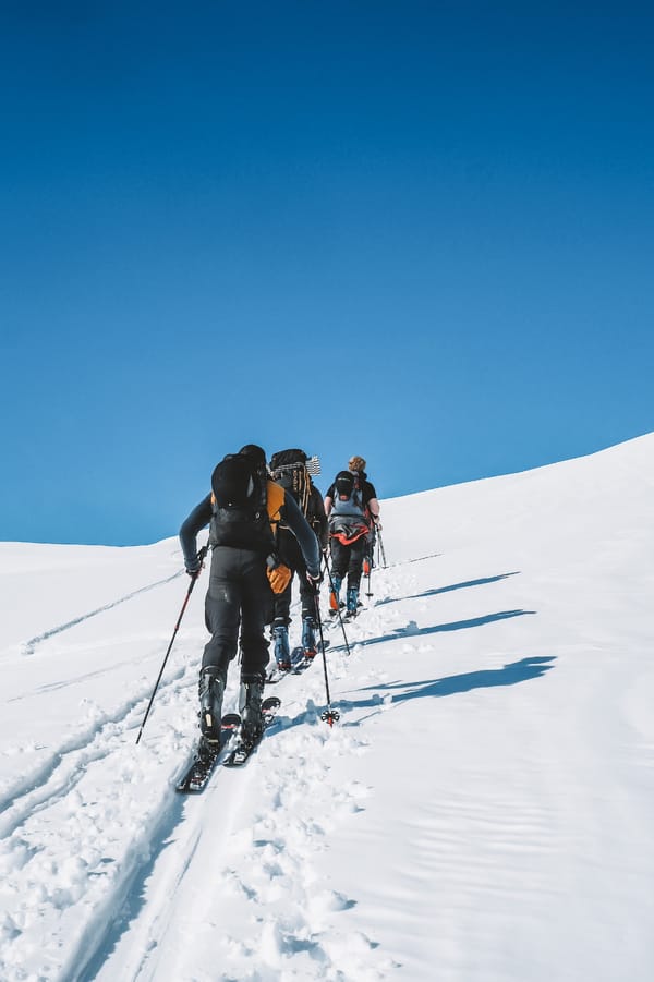 En gruppe skiløpere sett bakfra går med feller oppover en bratt, snødekt fjellside mot en klar, blå himmel.
