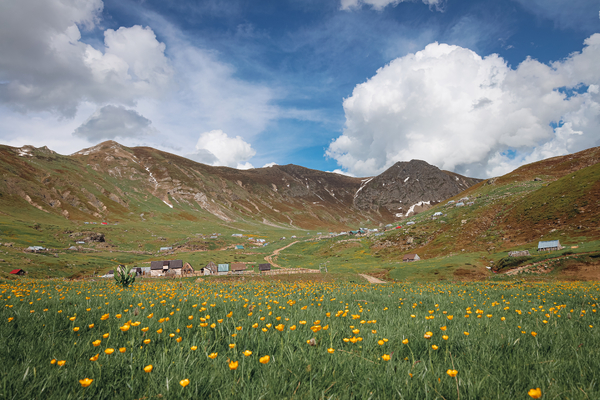 En frodig grønn eng med spredte gule blomster som strekker seg mot slake brune åser under en skyet blå himmel.