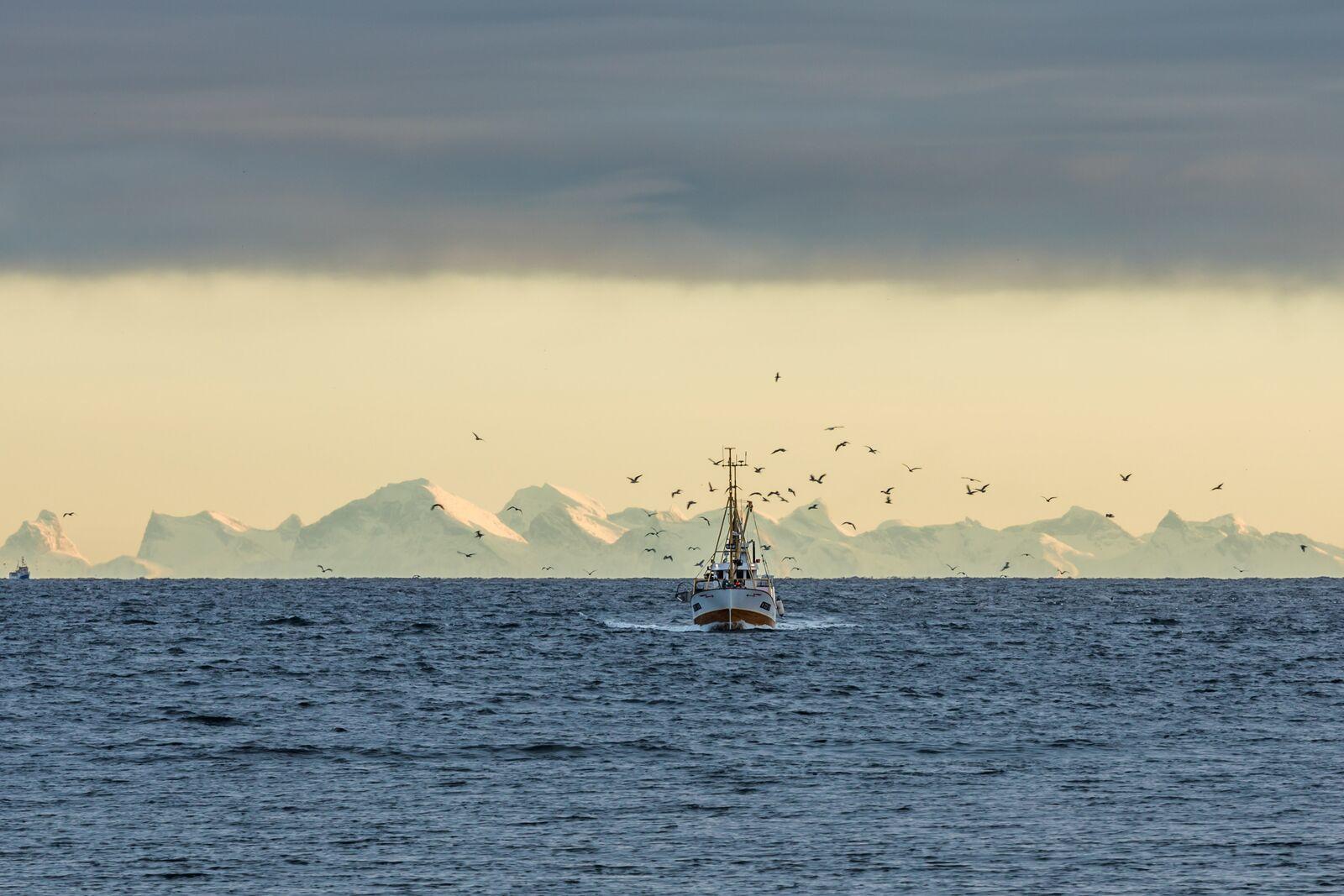 Winter adventure in Lofoten@InnovasjonNorge (1)