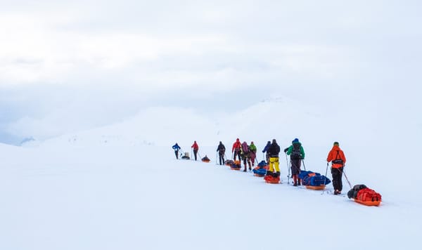 En rekke skiløpere i fargerike vinterklær trekker pulker på rekke over et hvitt snølandskap mot fjell i det fjerne.