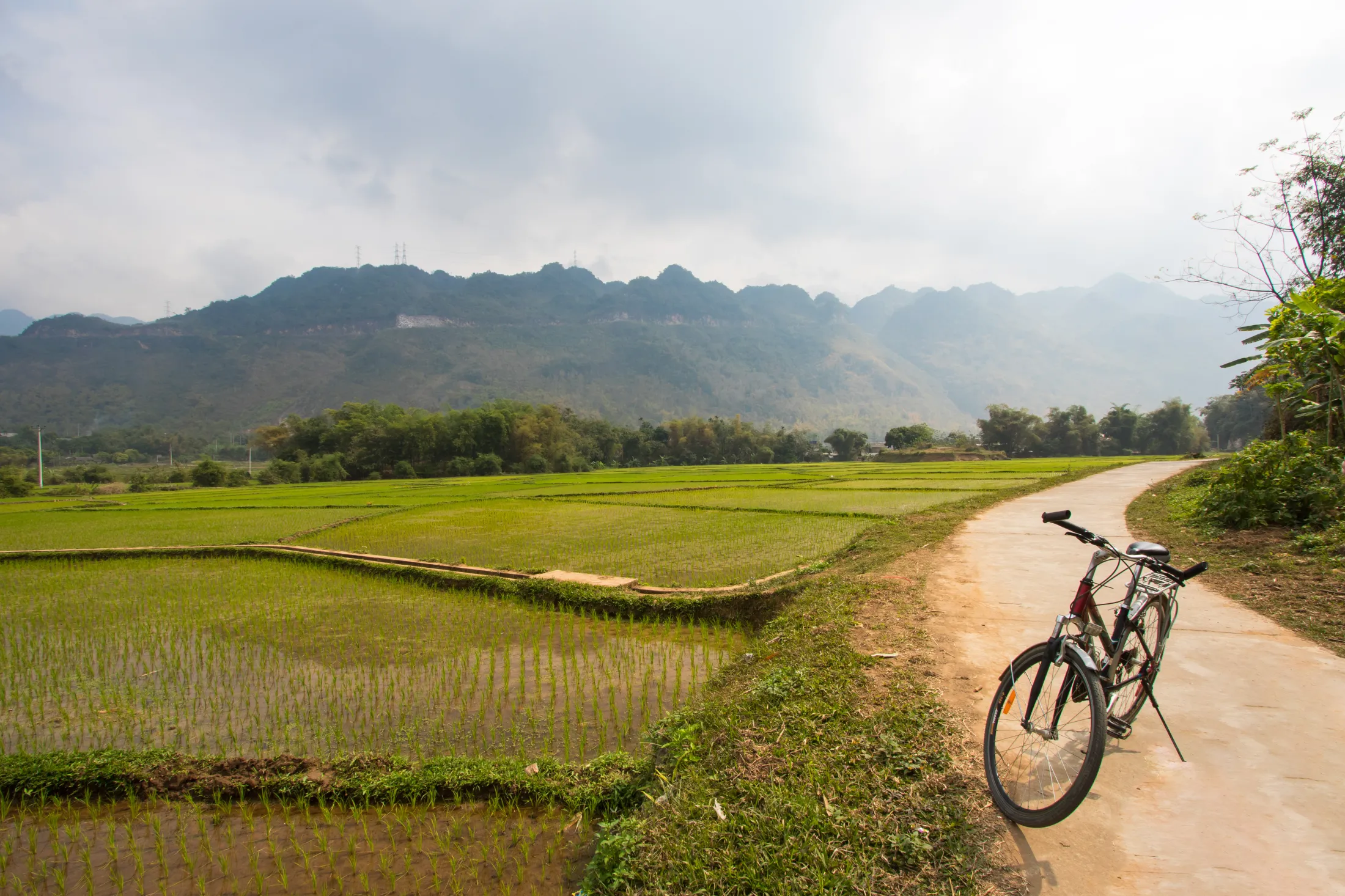 En sykkel på en sti ved et jorde og fjell i Vietnam.