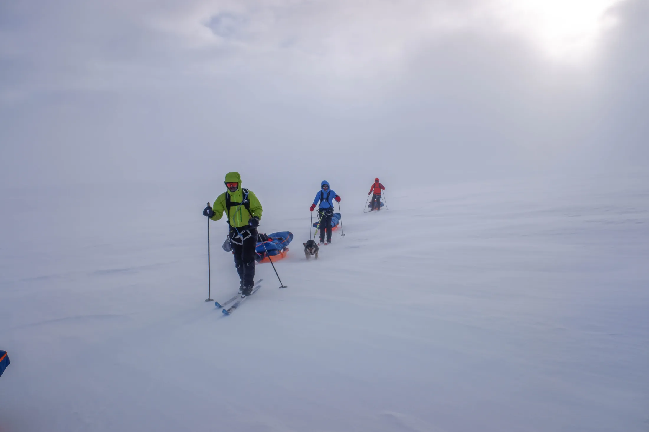 Tre skiløpere går på rekke over et enormt, snødekket landskap under en disig himmel, mens de trekker lastede pulker med en hund som løper ved siden av den midterste skiløperen.