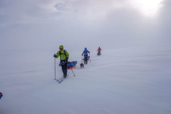 Tre skiløpere går på rekke over et enormt, snødekket landskap under en disig himmel, mens de trekker lastede pulker med en hund som løper ved siden av den midterste skiløperen.