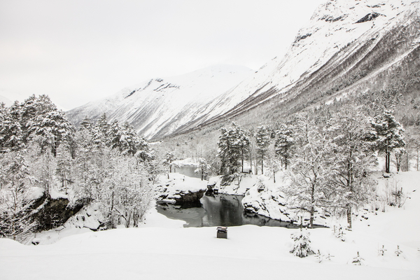 Snødekt vinterlandskap med snøtunge trær og en delvis frossen elv under store fjell i et overskyet landskap.