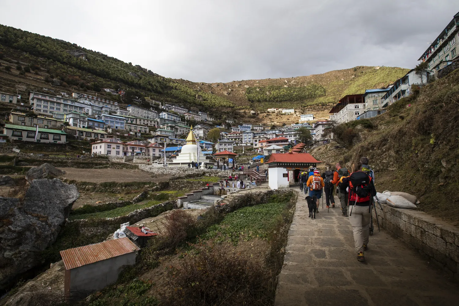 En gruppe turgåere med ryggsekker og en hund går langs en steinlagt sti inn i en terrassert fjellandsby bygget i en åsside, med en hvit buddhistisk stupa med gyllent spir under en overskyet himmel.
