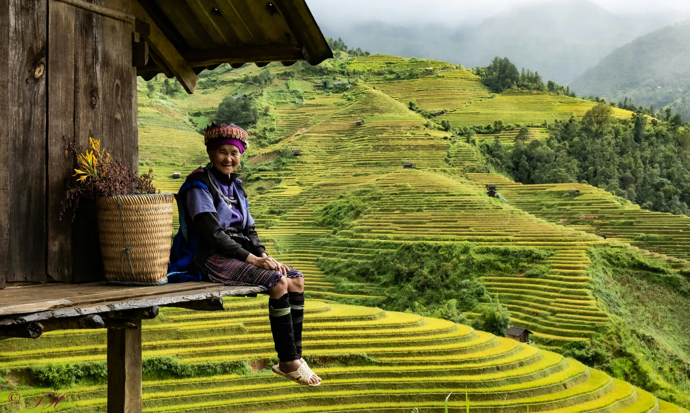 Eldre dame som sitter på en veranda i Vietnam med terasseåkre bak.