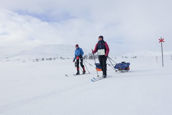 To personer på fjellski over et snødekt landskap, som drar pulk i fjellet.