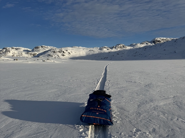 En pulkeske står på langrennsspor i et bredt, snødekt fjelllandskap under en blå himmel.