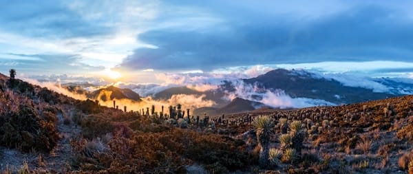 Bredt fjellandskap ved solnedgang med lave skyer og spredt vegetasjon i forgrunnen.