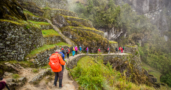 Folk som går på en sti i jungelen