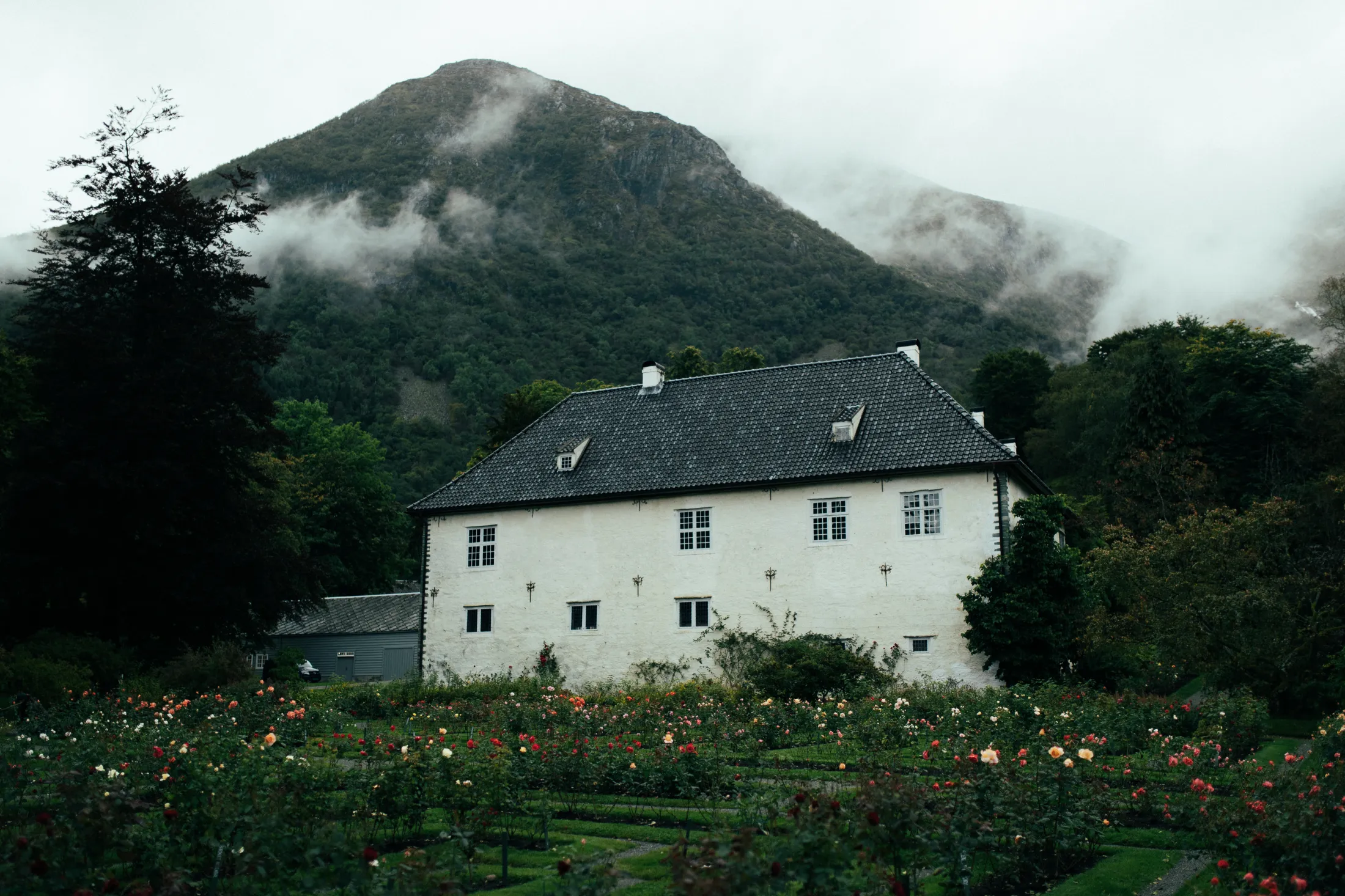 Et hvitt historisk hus står foran et tåkete, grønt fjell med en hage i forgrunnen.