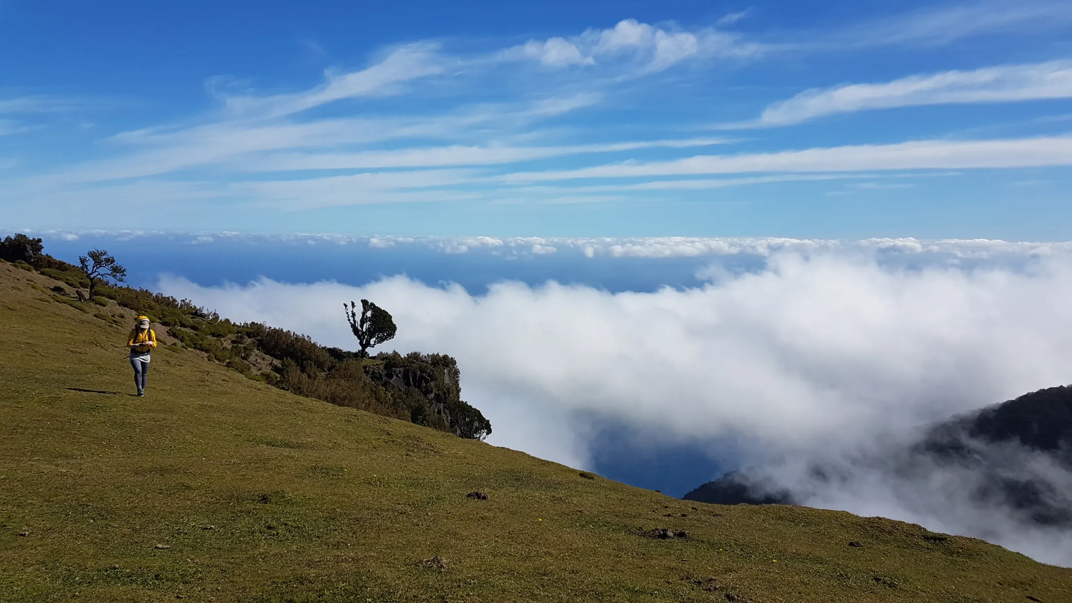 En gressbevokst fjellside skråner ned mot et skyhav under blå himmel, med en enslig person som går langs ryggen.