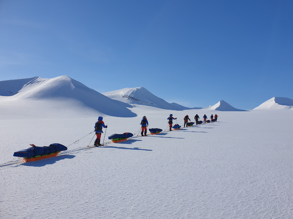 En rekke skiløpere som trekker pulker over et snølandskap under en klar blå himmel.