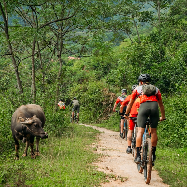 Sykkeltur i Nord-Vietnam