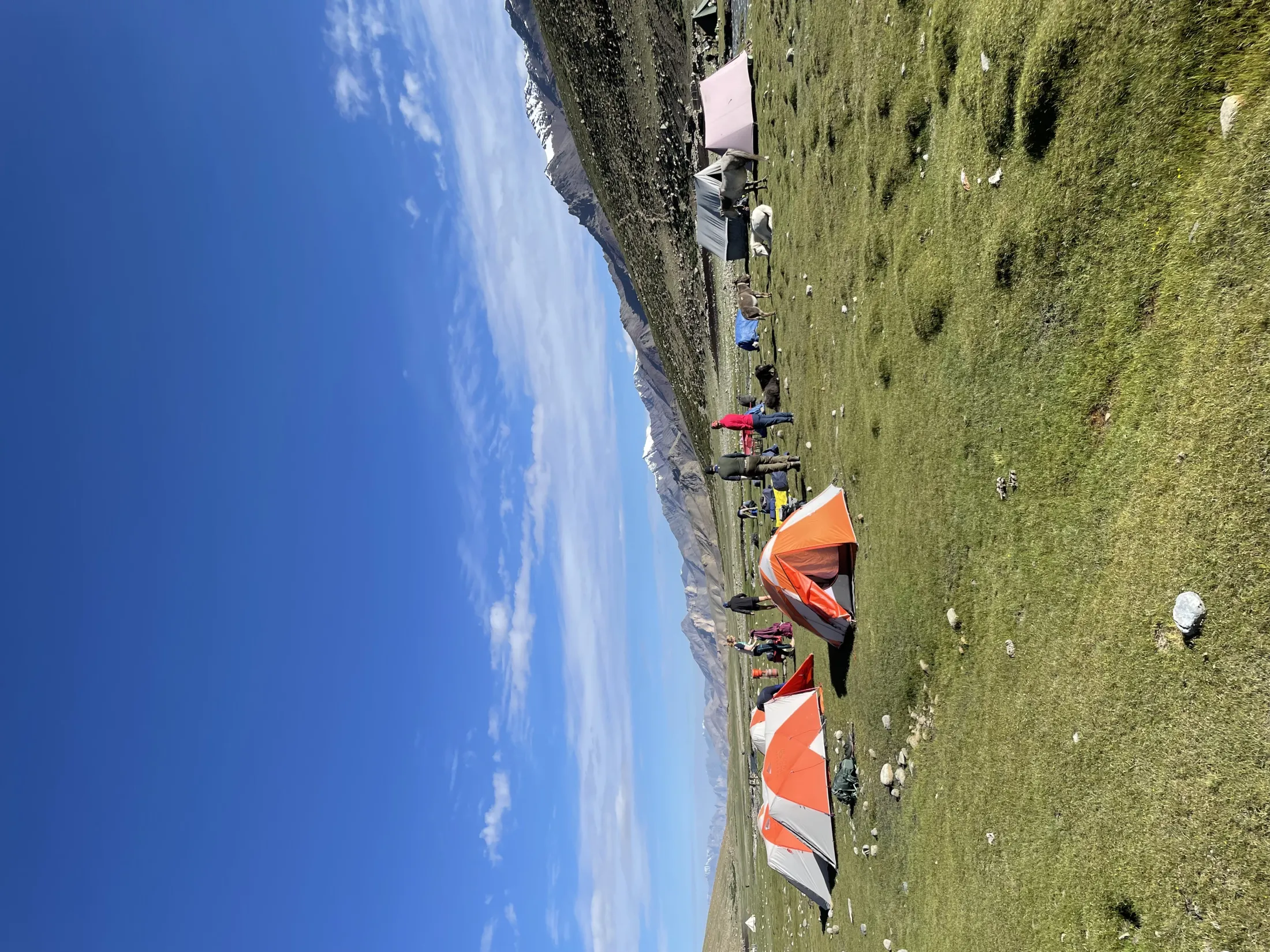 En samling oransje og hvite telt er slått opp langs en gresskledd fjelleng hvor mennesker og pakkdyr er samlet under en klar blå himmel.