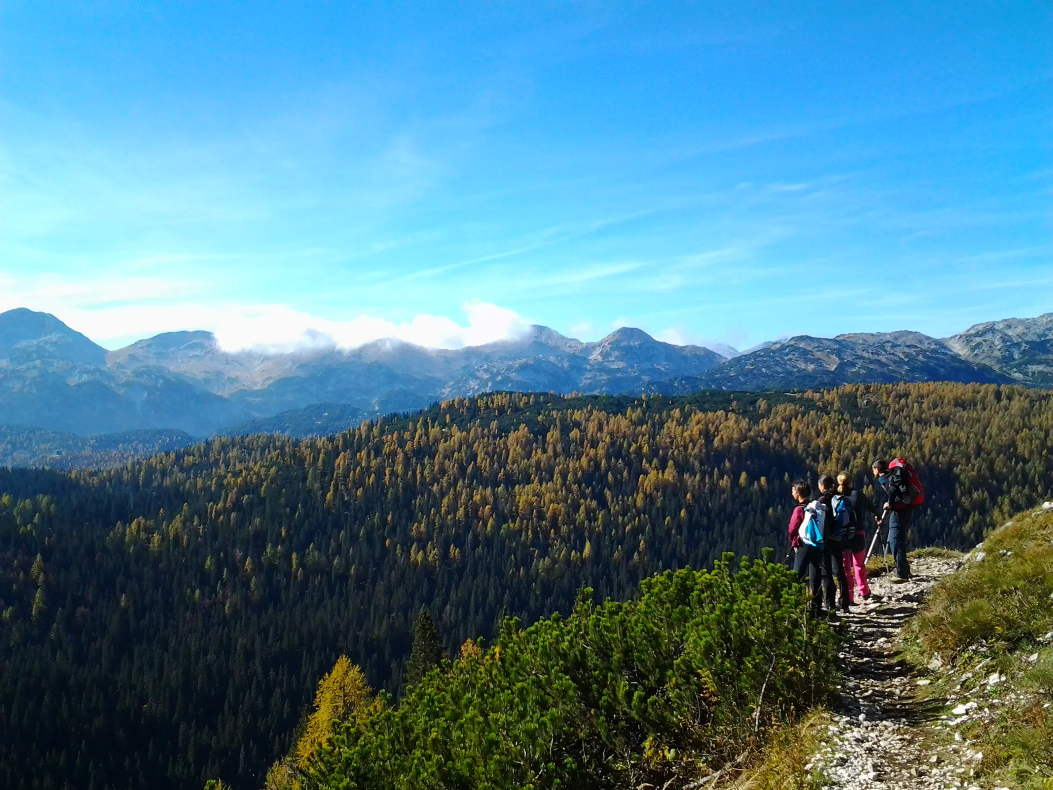 En gruppe turgåere med ryggsekker står på en steinete sti og ser utover en enorm skog med gylne høstfarger og fjell i det fjerne under en blå himmel.