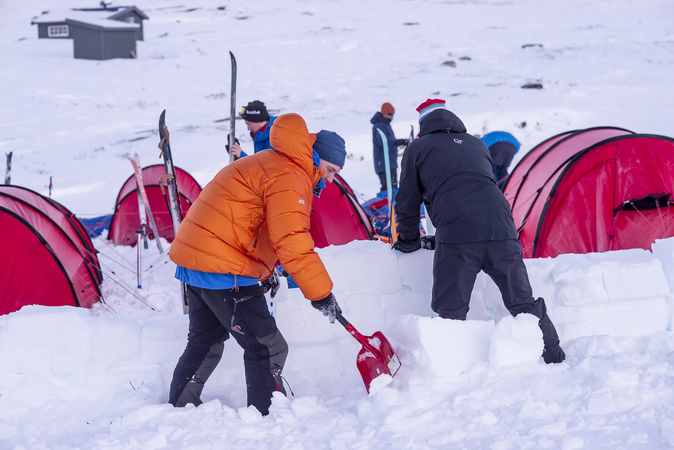 Folk i snøen som bygger snøvegg ved telt