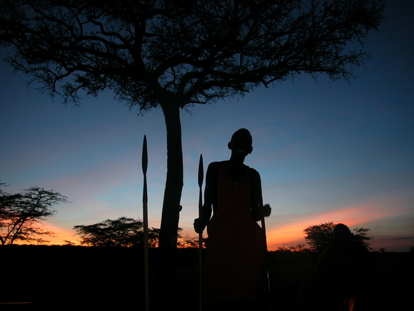 Silhuette av en masai man foran et tre
