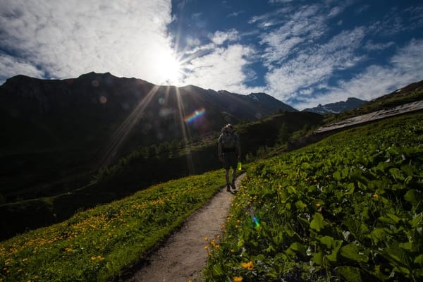 En turgåer med ryggsekk går på en smal sti som skjærer gjennom en frodig, grønn alpeside dekket med gule villblomster, mens sterke solstråler bryter over fjellryggen foran.