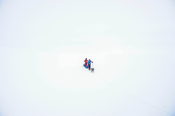 To skiløpere trekker lastede pulker gjennom et landskap med total whiteout, mens de følger en hund som leder vei over den ensartede snøen.