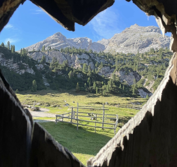 Vindu som ser mot fjellet