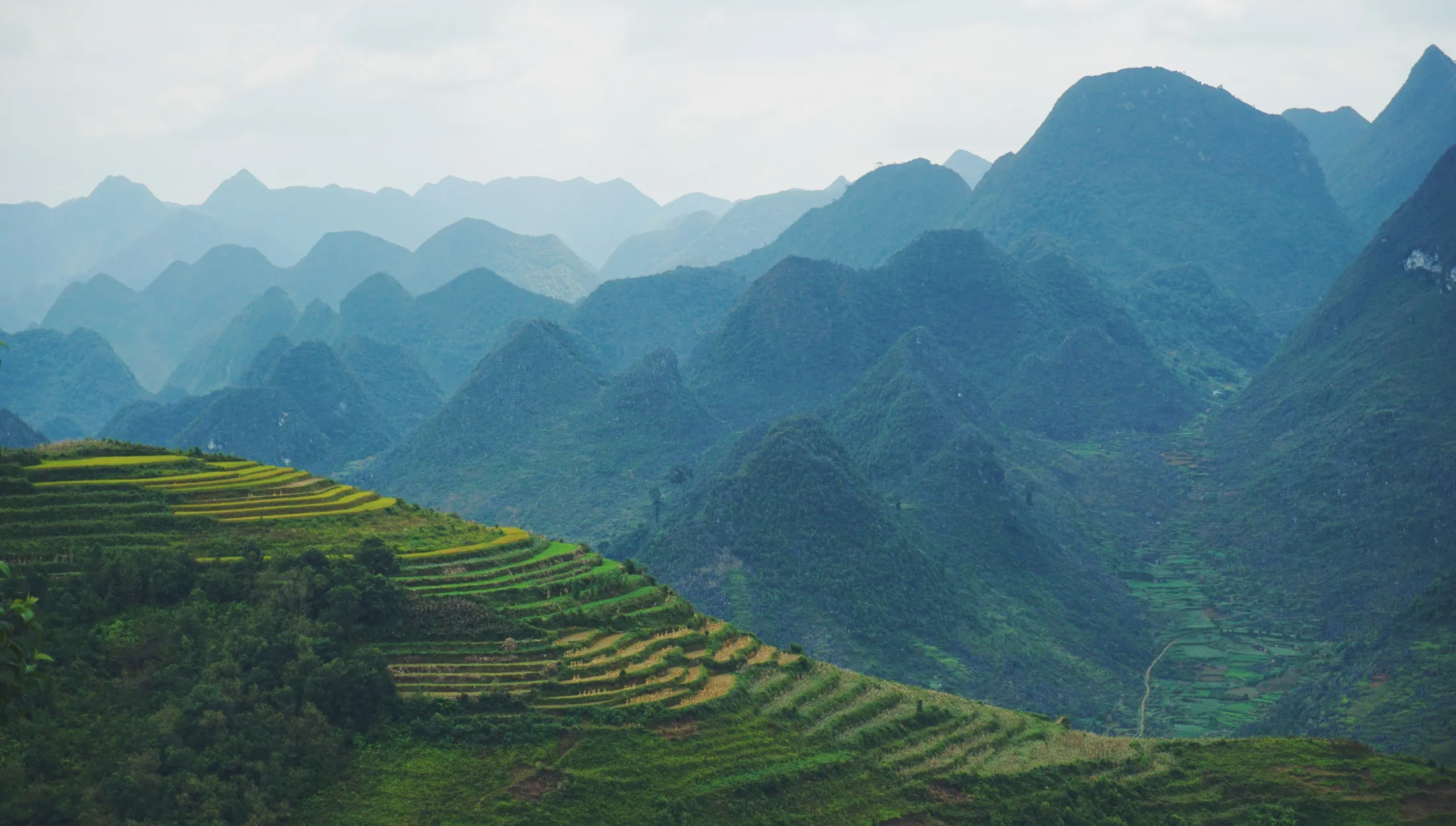 Terasseåkre og fjell i Vietnam.