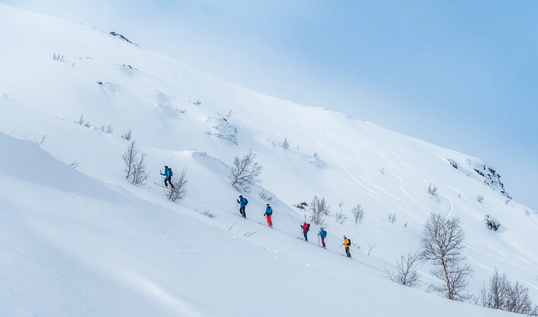 En rekke på seks skiløpere traverserer over en bratt, snødekt fjellside strødd med spredte, bladtomme trær.