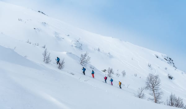 En rekke på seks skiløpere traverserer over en bratt, snødekt fjellside strødd med spredte, bladtomme trær.