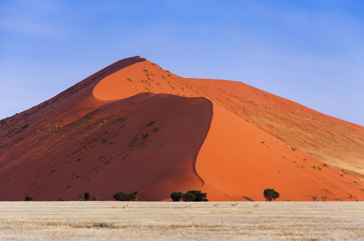 En stor og rød sanddyne i afrikansk landskap.