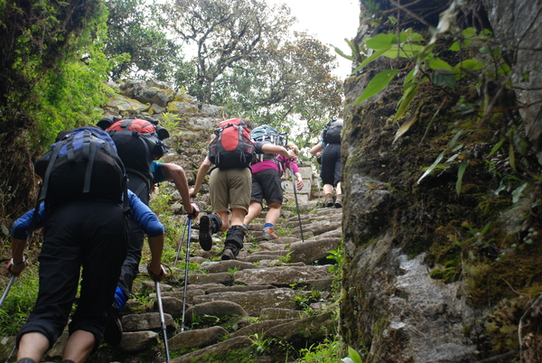 Folk som klatrer trapper i jungelen