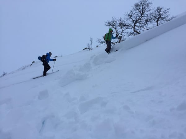 To skiløpere på tur i en snøbakke med utløst skred.