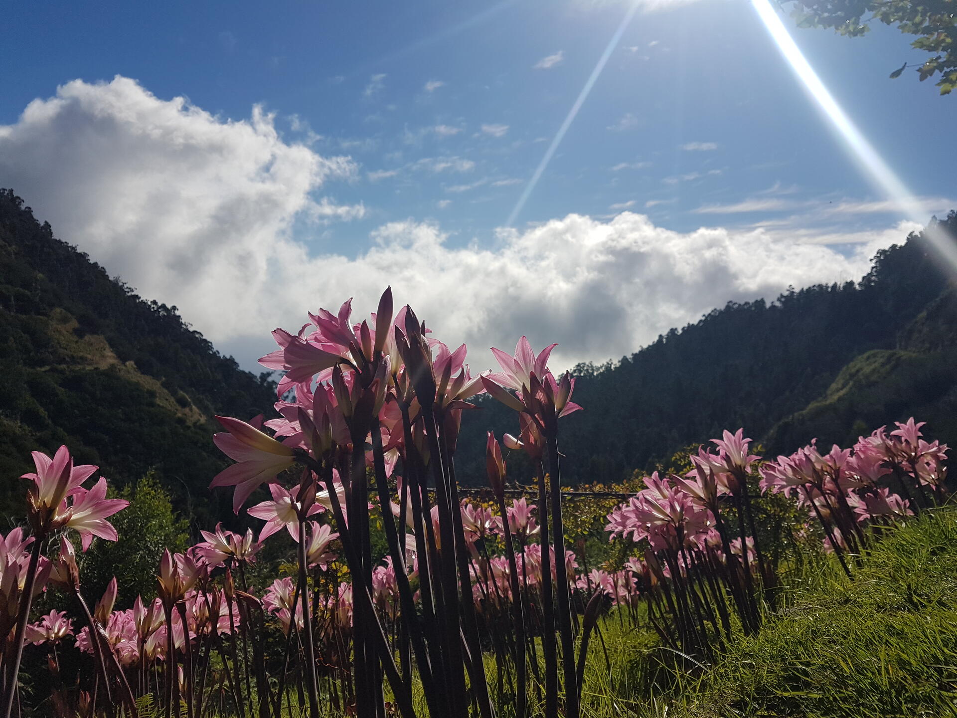 Madeira-2022@HanneHollås (56)