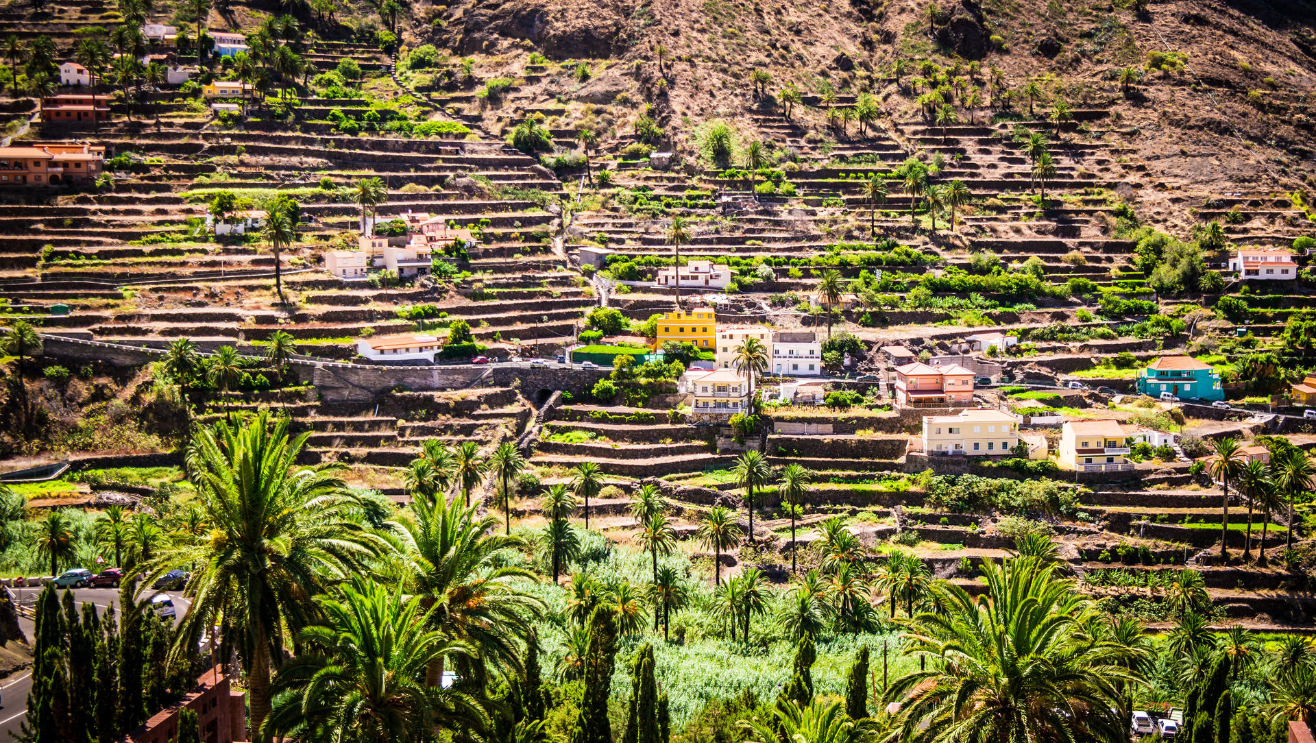 Valle Gran Rey: Terraced fields, La Gomera at the Canary Islands