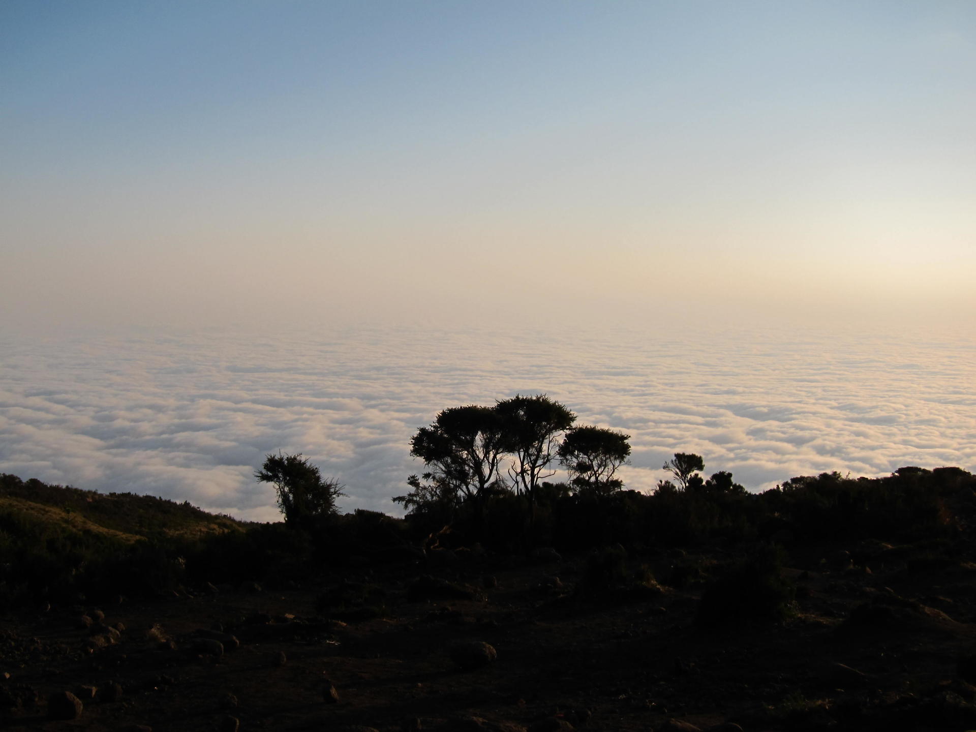 Kilimanjaro-2011 @MagnusHendis (52)