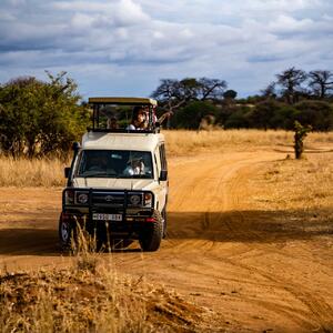 Safari