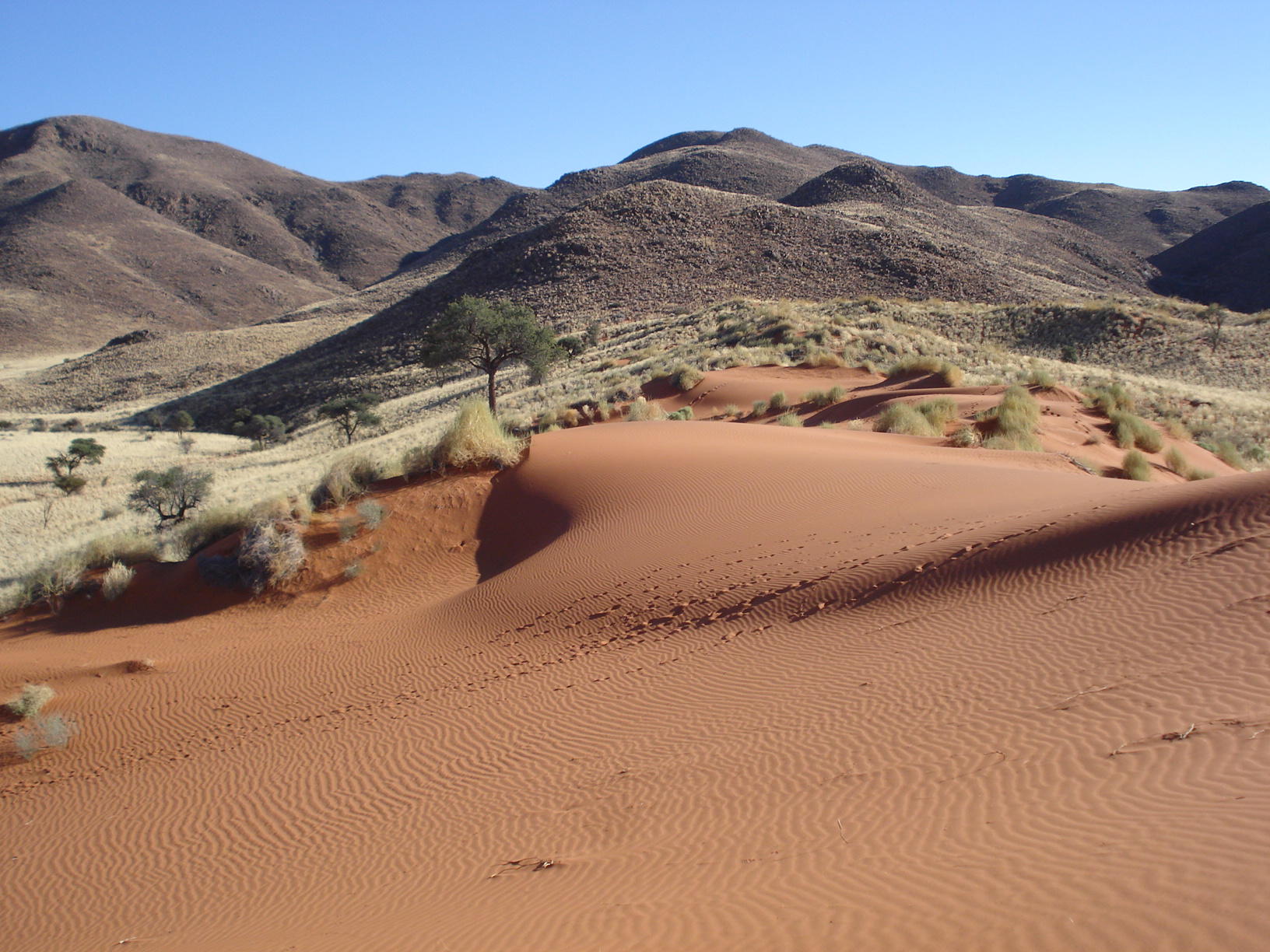 Namibia@AfricanBikers (6)