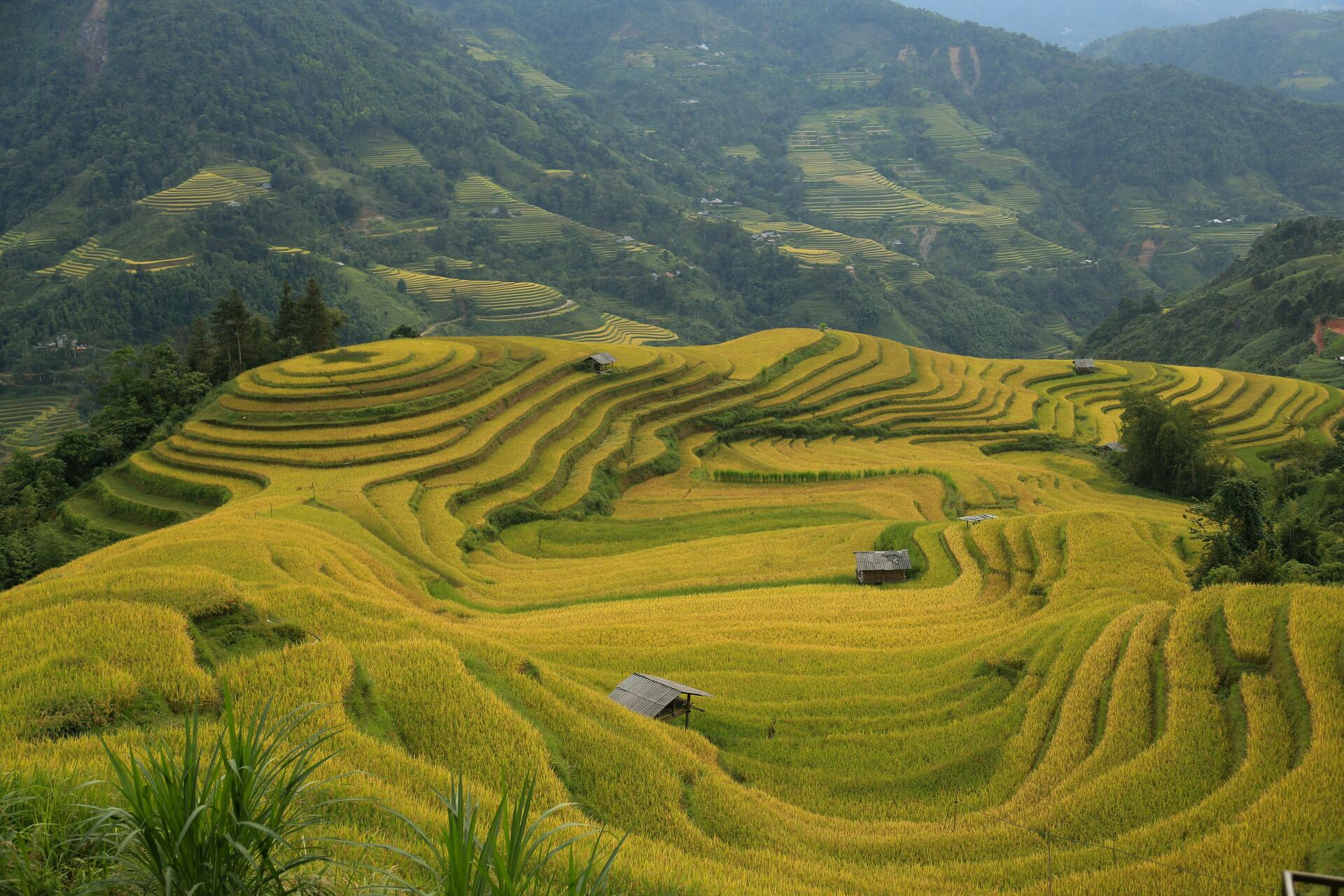 Vietnam-2024@minhtriet.unsplash