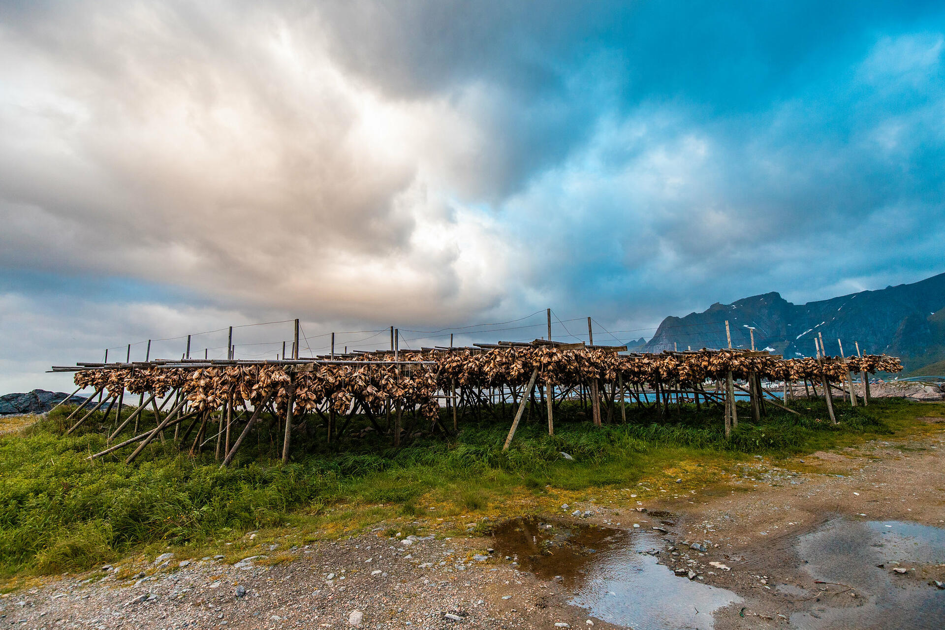 Hiking Lofoten-2018@ThorHåkonUlstad (51) (1)