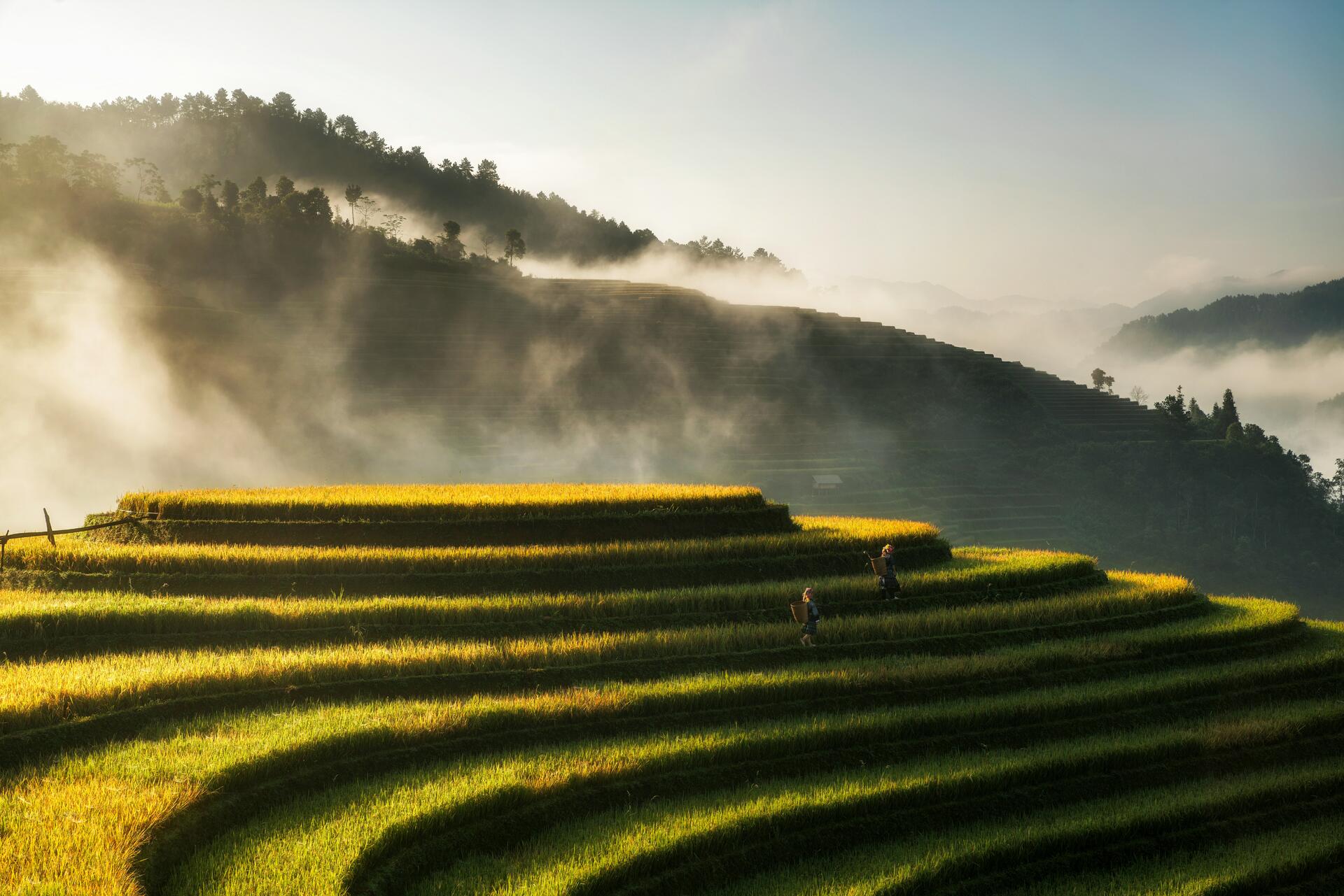 hoach-le-dinh-2025@unsplash