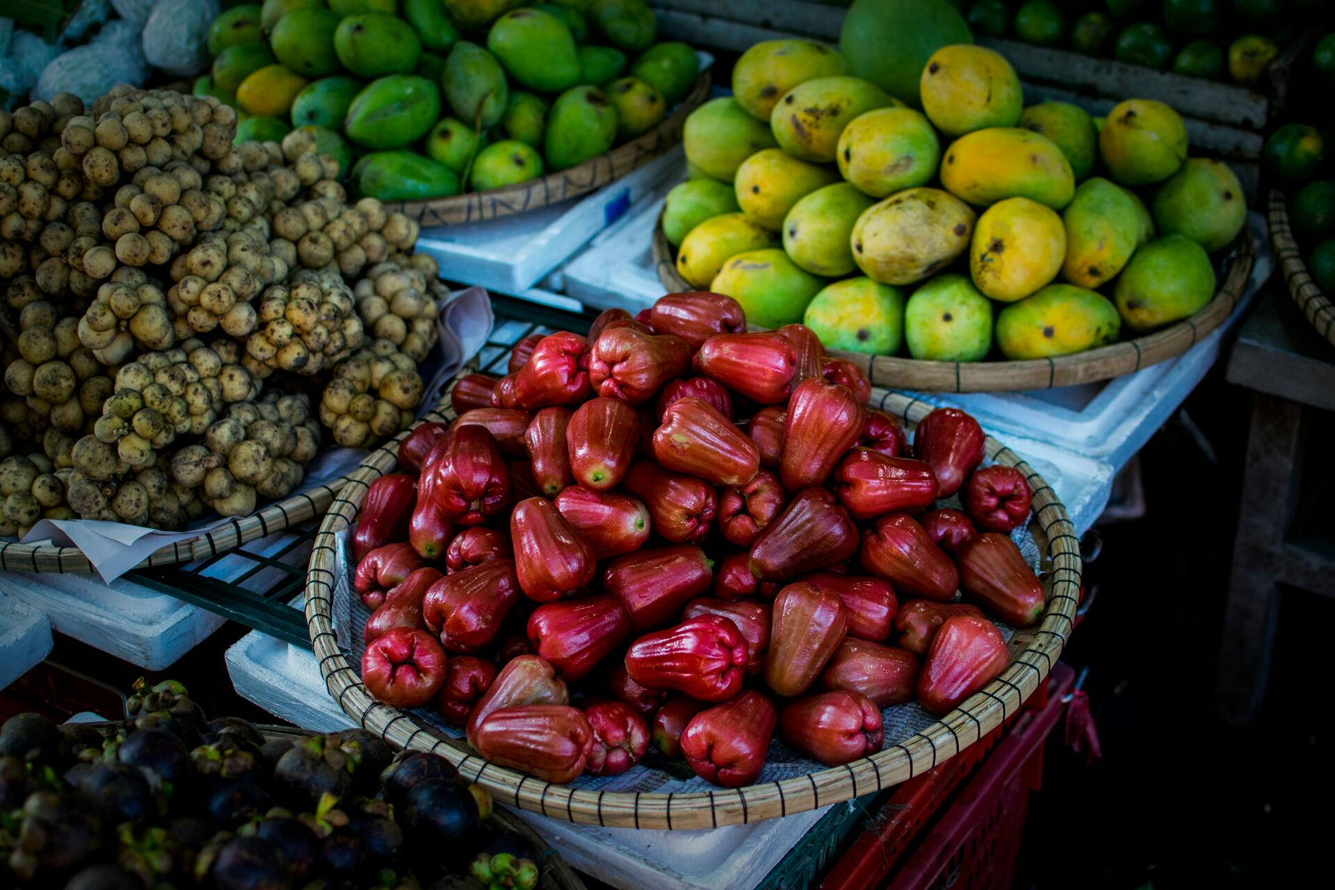 Vietnam-2025@ivan-bajalovic-unsplash