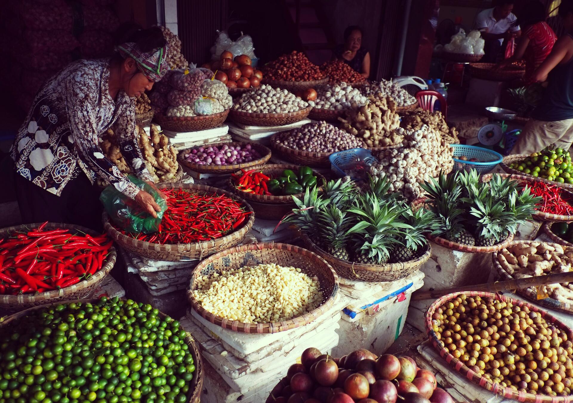 Vietnam-2025@patrick-mcgregor-unsplash