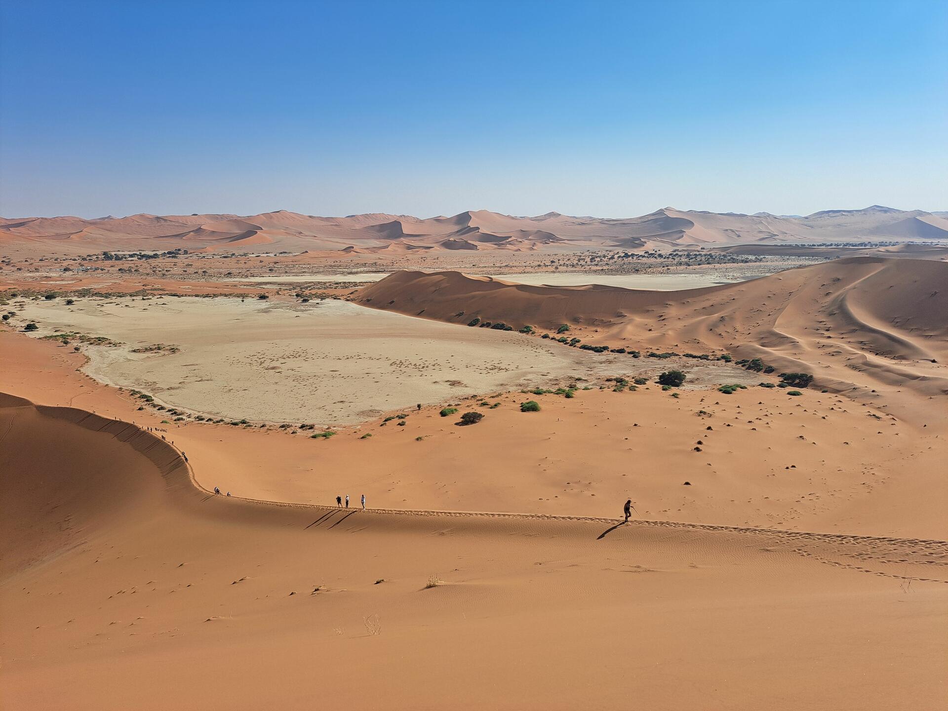 Namibia-2024@HanneHollås (79)
