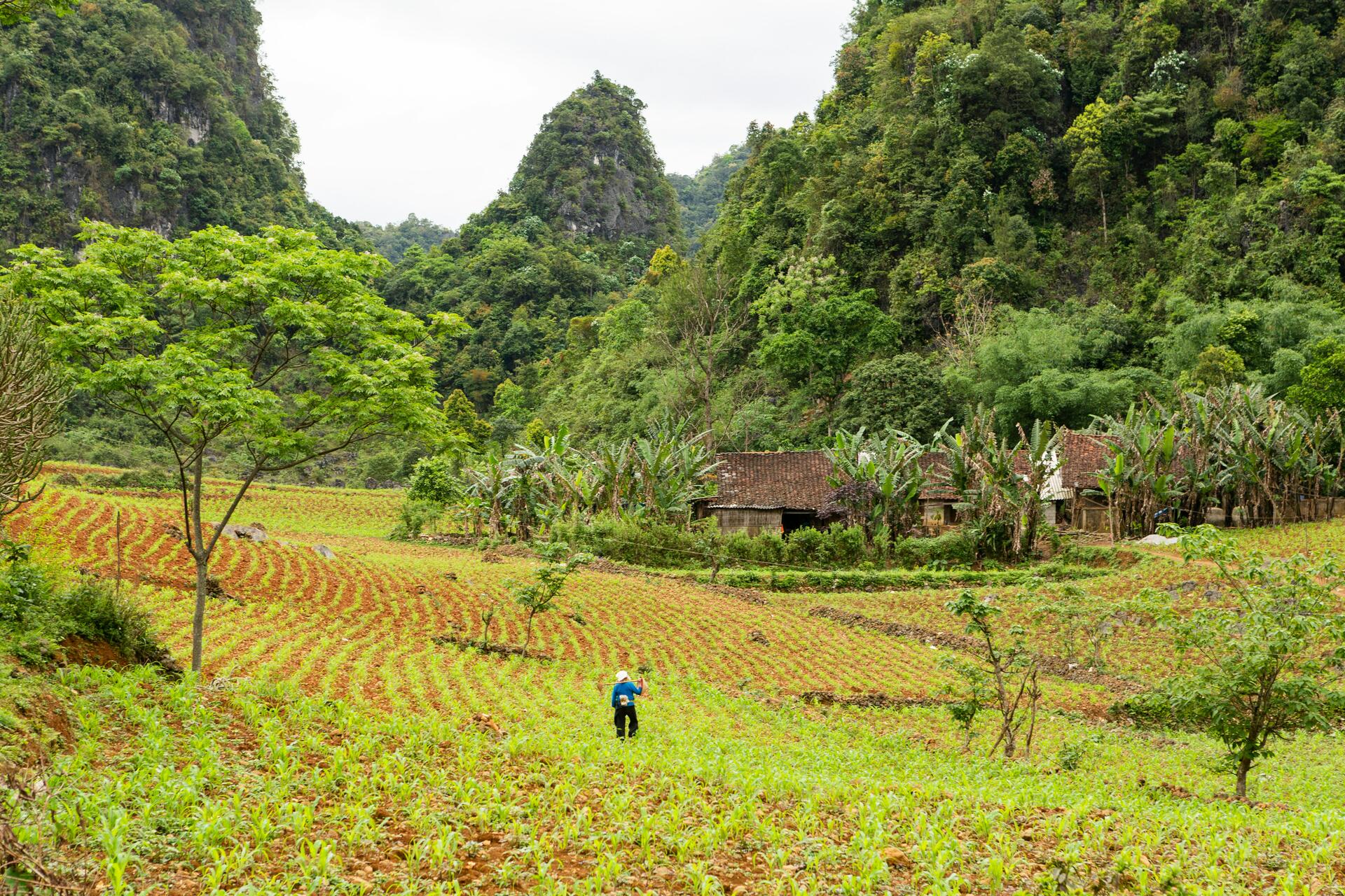 Vietnam-2025@unsplash