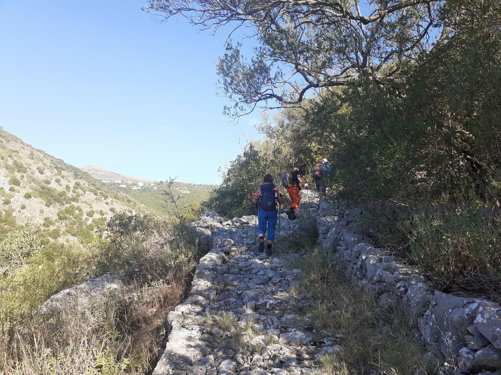 corfutrail-2025@AperghiTravel-Pathonthemountain