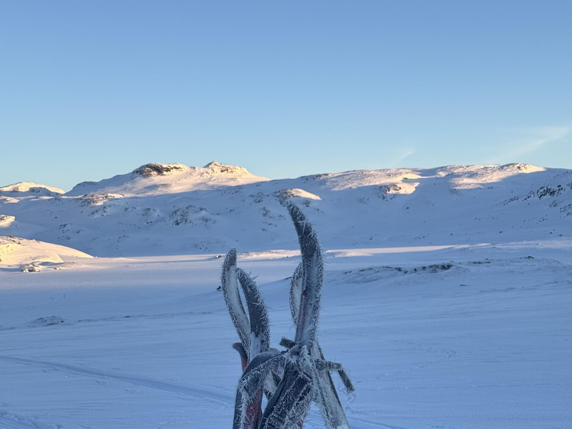 Hardangervidda på langs 19@Jørgen Brøto Torland